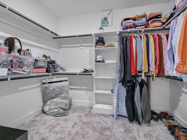 spacious closet featuring light colored carpet