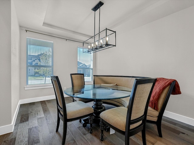 dining room featuring dark wood-style floors, baseboards, and a raised ceiling