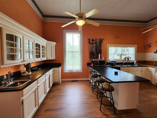 kitchen featuring light hardwood / wood-style flooring, crown molding, sink, and plenty of natural light