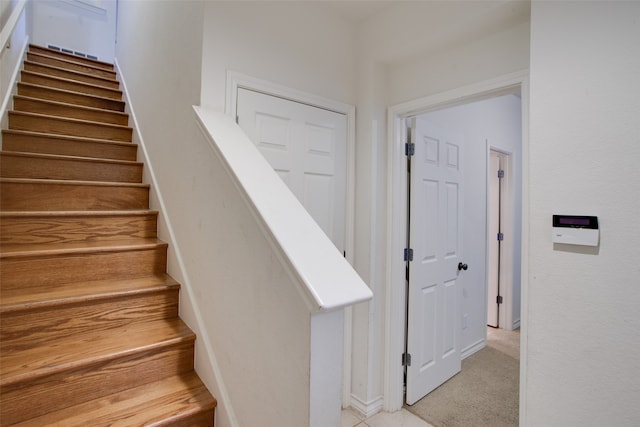 stairs with carpet flooring