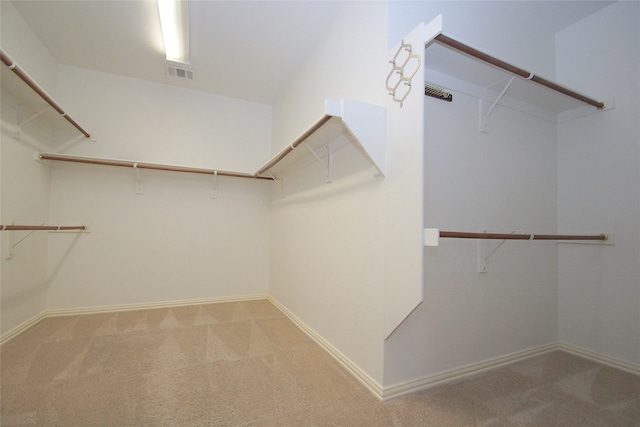 walk in closet with light colored carpet