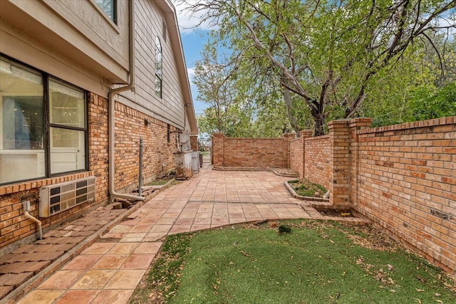 view of yard featuring a patio area