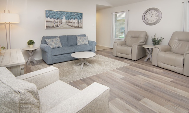 living room with wood-type flooring