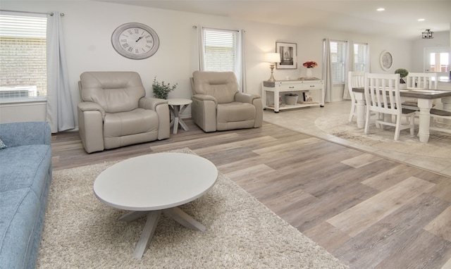 living room featuring a healthy amount of sunlight and hardwood / wood-style floors