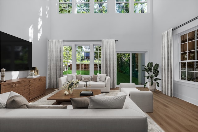 living room with hardwood / wood-style flooring and a high ceiling