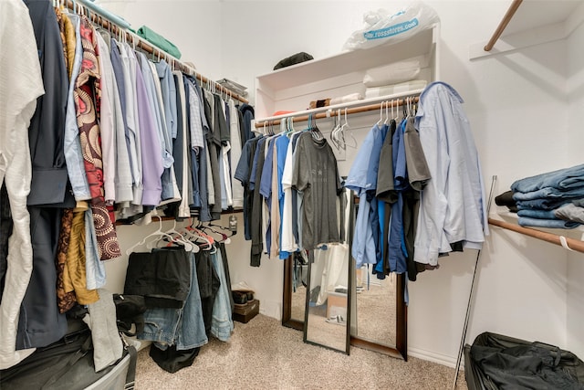 spacious closet featuring light carpet