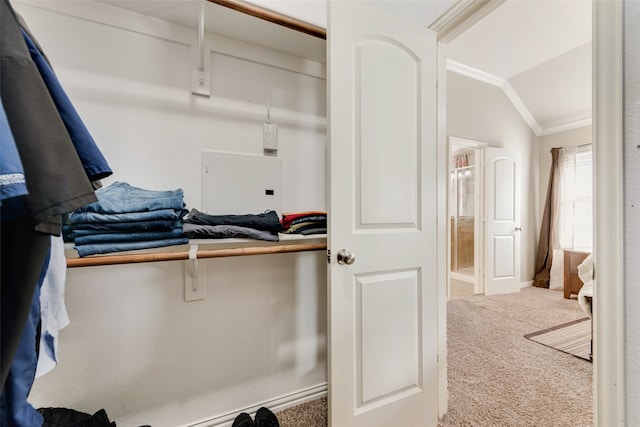 walk in closet with carpet flooring and vaulted ceiling