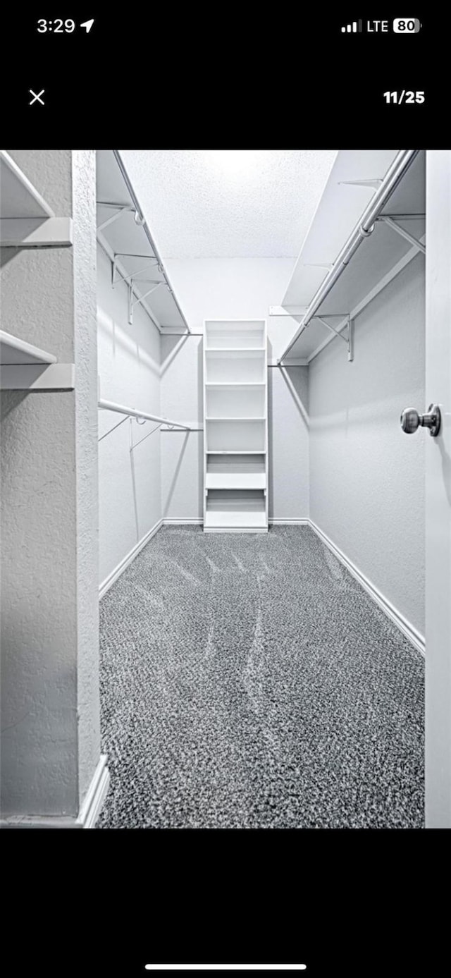 walk in closet with carpet floors