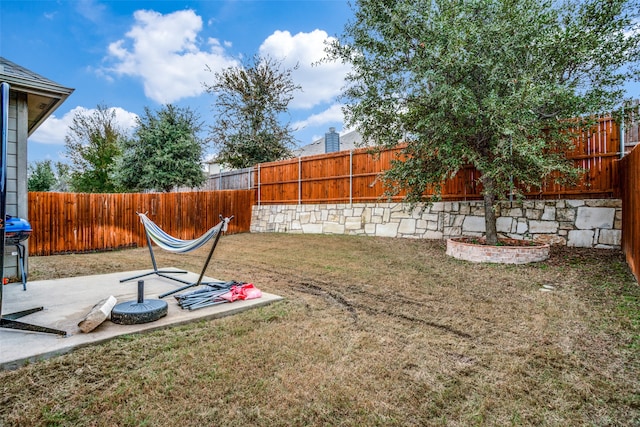 view of yard featuring a patio