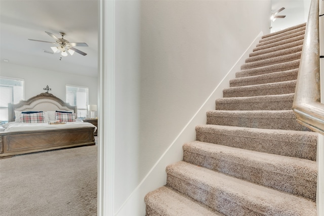 stairway with carpet floors and ceiling fan