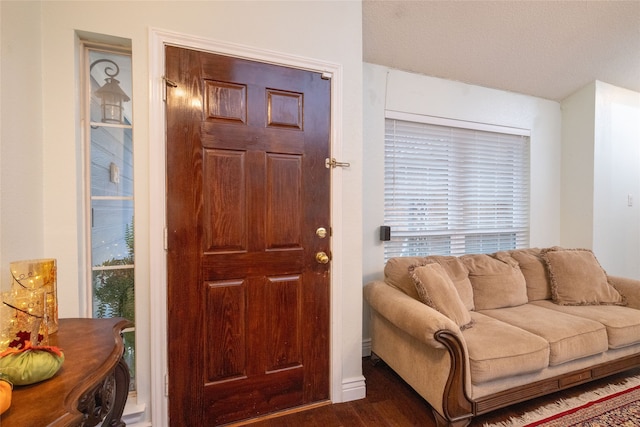 foyer entrance with dark hardwood / wood-style flooring