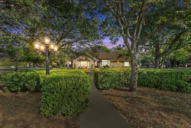 view of yard at dusk