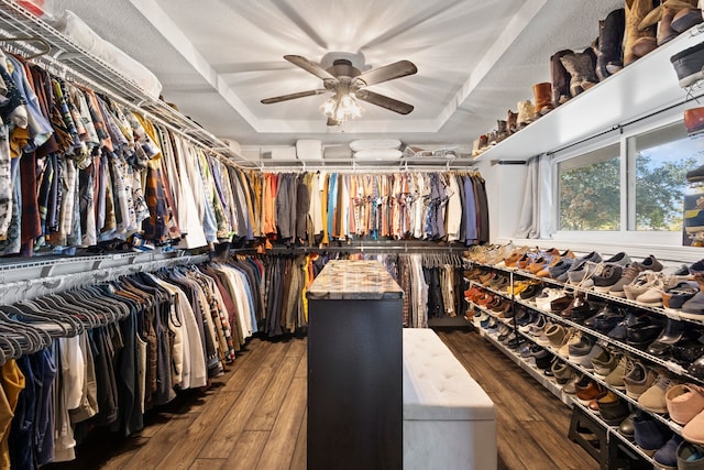 walk in closet with ceiling fan, a raised ceiling, and dark hardwood / wood-style floors