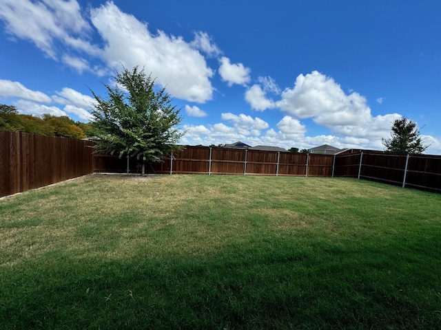 720 Juniper St, Anna, TX 75409 - view of yard