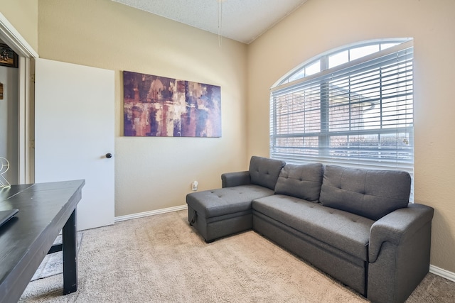 carpeted living room featuring a textured ceiling