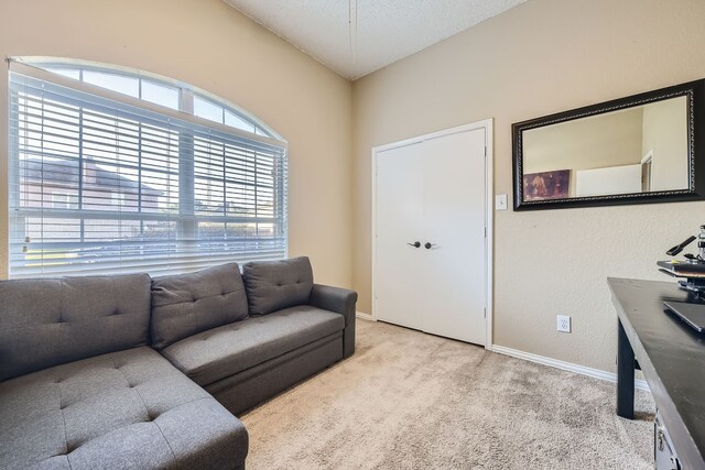 carpeted living room with a textured ceiling