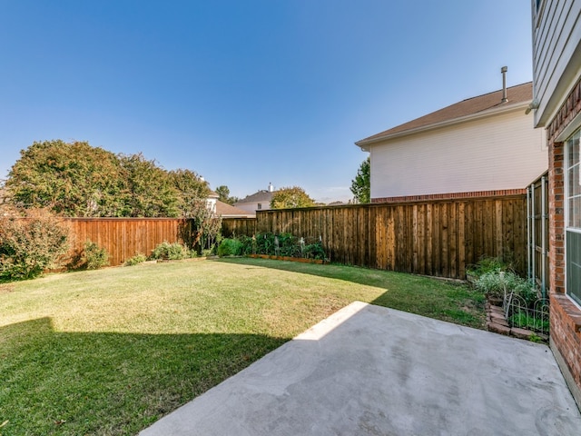 view of yard featuring a patio area