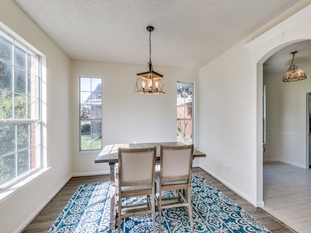 dining area with hardwood / wood-style flooring, a textured ceiling, and plenty of natural light