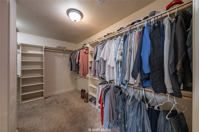 spacious closet featuring carpet flooring