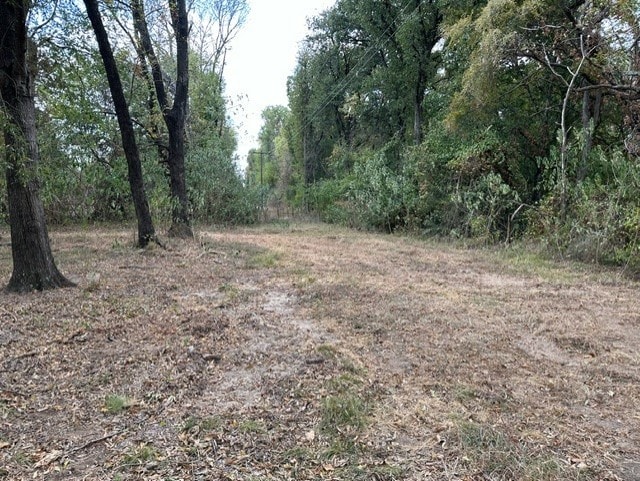 view of local wilderness