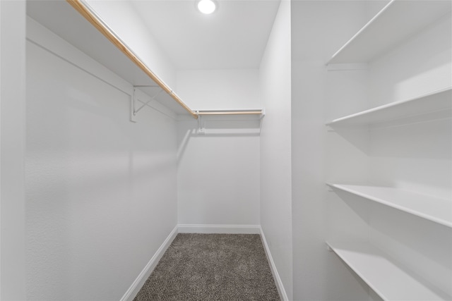 spacious closet with carpet flooring