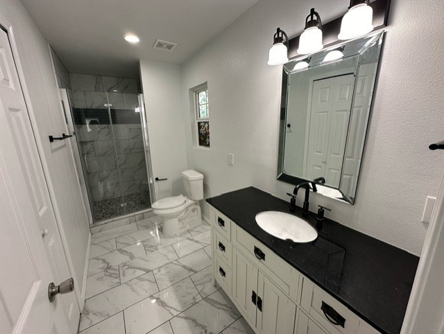 bathroom with vanity, toilet, and a shower with shower door