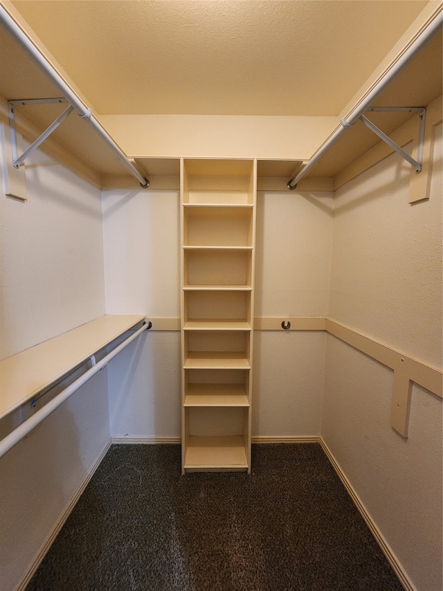 spacious closet featuring dark colored carpet