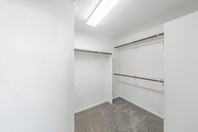 walk in closet with dark colored carpet