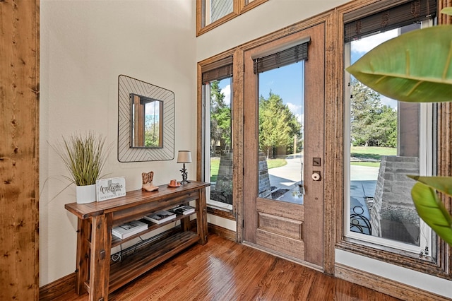 entryway with hardwood / wood-style floors