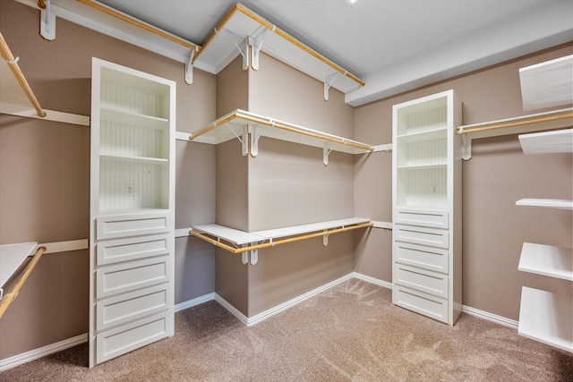 spacious closet featuring carpet flooring