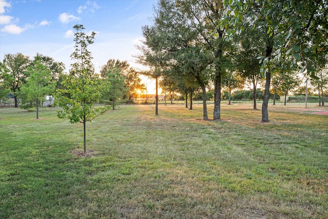 view of yard at dusk