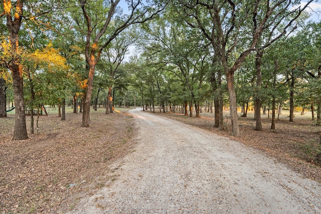 view of road