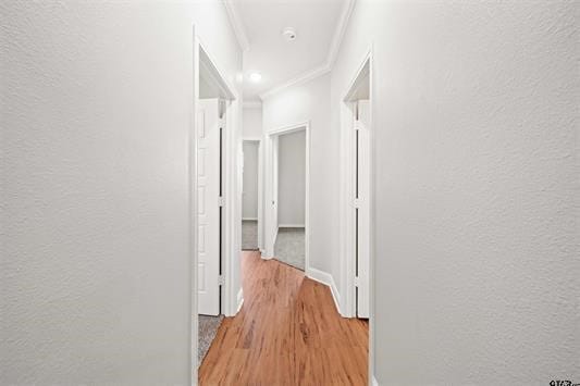 hall with light hardwood / wood-style flooring and crown molding