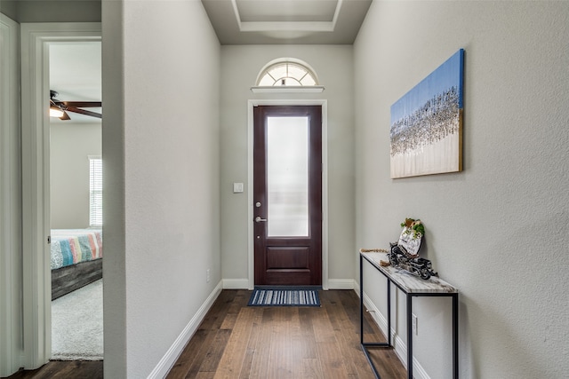 foyer featuring dark hardwood / wood-style floors and ceiling fan