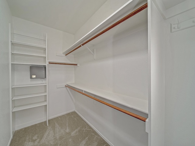 walk in closet featuring light carpet