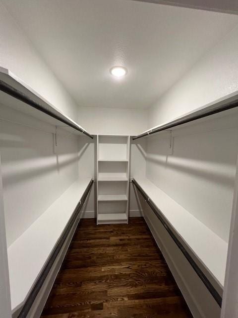 spacious closet with dark wood-type flooring