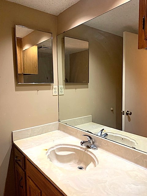 bathroom featuring vanity and a textured ceiling