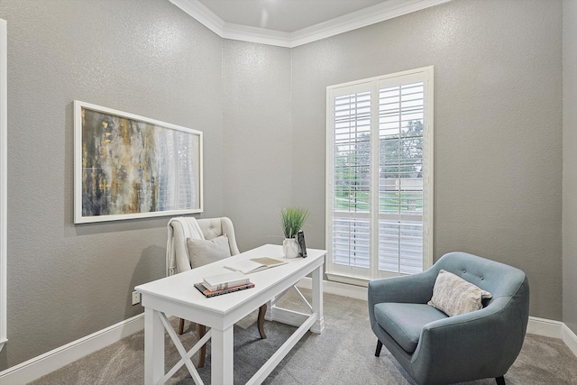 carpeted office space featuring ornamental molding