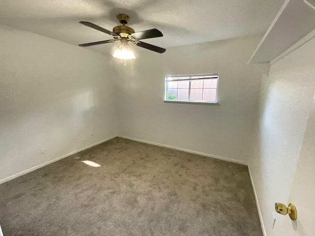 spare room featuring ceiling fan and carpet floors