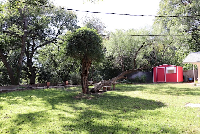 view of yard featuring a storage unit