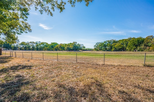 view of yard with a rural view