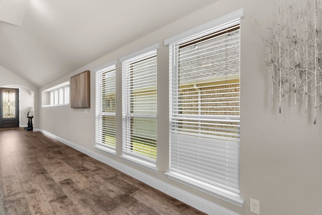 hallway with dark hardwood / wood-style floors, plenty of natural light, and vaulted ceiling