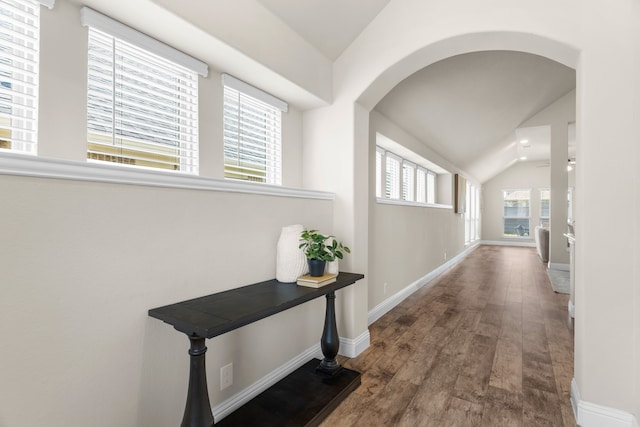 corridor with wood-type flooring, lofted ceiling, and a wealth of natural light