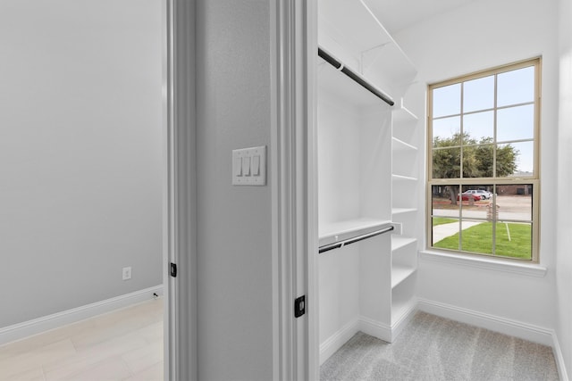 view of spacious closet