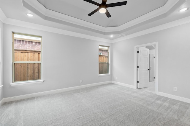 spare room with a wealth of natural light, crown molding, a raised ceiling, and ceiling fan