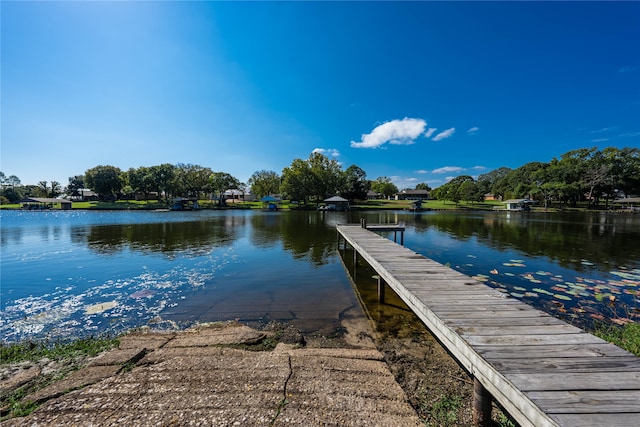 dock area with a water view