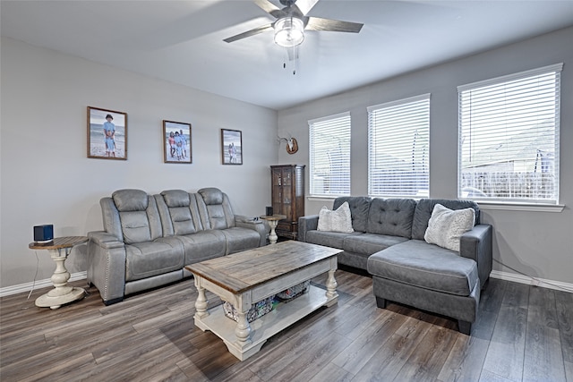 living room with ceiling fan and hardwood / wood-style flooring