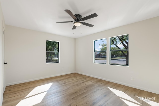 unfurnished room featuring light hardwood / wood-style flooring and ceiling fan