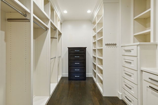 spacious closet featuring dark wood-type flooring