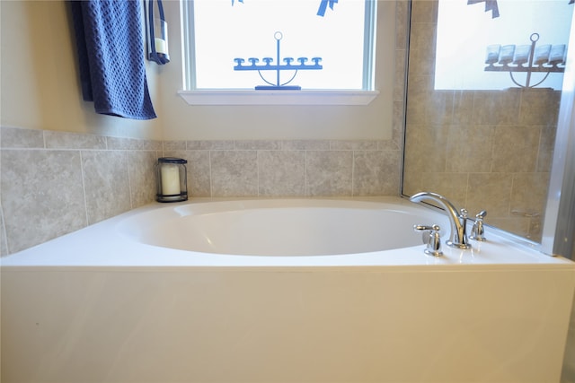 bathroom featuring a washtub